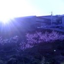 가나안농원 이미지