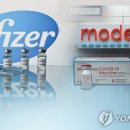 델타메드 이미지