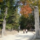 합천 해인사[陜川海印寺] 대한불교조계종 이미지