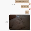 이덕기한의원 네이버블로그