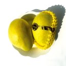 망고그린 이미지