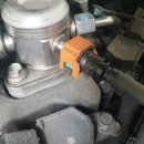 오토오아시스일산그린점 이미지