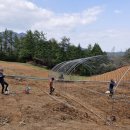 행복한 농원 이미지