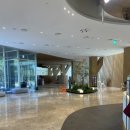 지현펜션 | [경주] 호텔 키녹_ 강아지 호텔과 카페｜강아지가 행복한 공간｜3대 애견호텔 비교