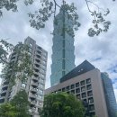 투혼체육관 | Mission #782 딤섬 대신 투혼 – 타이베이 주짓수 대회, 블랙벨트 ‘코타니 속타니’의 무대