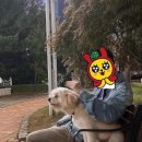 지에스25(GS25) 용인문예회관점