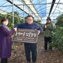 도농농장 이미지