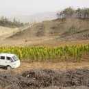 남산농원 이미지