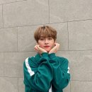 리노 이미지