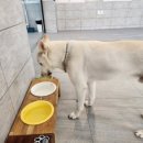 구르미교육 이미지