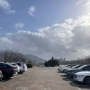 전남 구례 카페, 반야원 플라타너스
