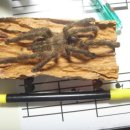 잠원역 3호선 이미지