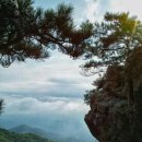 보물단지 이미지