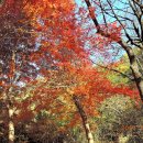 중앙동122 이미지