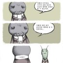 개미와베짱이 이미지