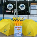 우산수영장 이미지