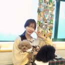 용맹까까 네이버블로그