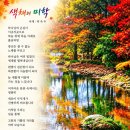색채의 미학 이미지