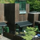 타피올라 이미지