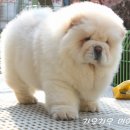 큐웨이