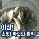 8회 강호얼레꾼 쏟아지는 마릿수붕어 그리고 월척~~!!! 이미지