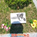 주식회사 하늘소풍 이미지