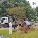 반포초등학교 이미지