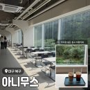 대구 북구 태전로15길 2 | 대구 칠곡 태전동 대형 베이커리 카페 <아니무스> 내돈내산 후기