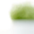 세종제일산부인과의원 이미지