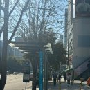 올리팅성형외과의원 이미지