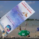 표선백사로 이미지