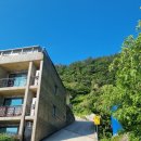 풍경채펜션 | 울릉도펜션 추천｜뷰 맛집 울릉도풍경채펜션 솔직 후기