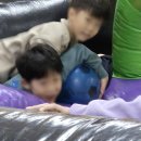 경민대 삼현충효태권도장 이미지