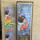 타악(고고장구) | 소리음악극 &lt;보이야르의 노래&gt; 광진어린이공연장