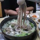 서해박속낙지전문점 이미지
