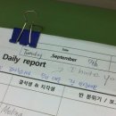 Daily report 이미지