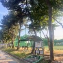 을숙도 리틀야구장 이미지