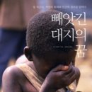 대지-2010 이미지