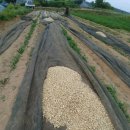 달래네 하우스 이미지