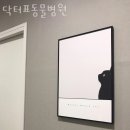닥터표 동물병원 | 강동구 성내동 동물병원 닥터표동물병원 진료시간 접근성 이용후기