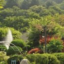 양수리 오리학교 이미지