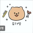 슈가멍 | (수원, 강아지, 고양이, 애견미용, 추천!) 슈가멍 수원 슈가멍, 스트레스 없는 미용
