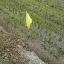 합덕역의 2015년 11월 현재 모습 이미지