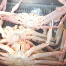 강릉영주횟집 이미지