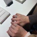 [공지] w1. 웨딩 밴드 프릿(fritt) 계약 후기 (신세계 백화점 강남점)