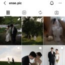 위브스냅