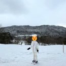 가족호텔 한솔동 이미지