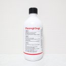 멍이랑옹이랑 이미지