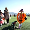 김천대학교부속유치원 이미지