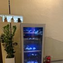 바이글라스